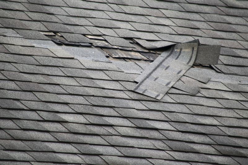 Shingle Repair and Replacement
