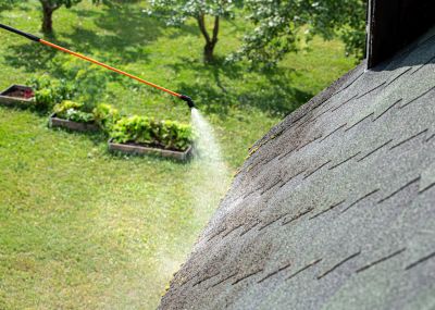 Roof Cleaning Services